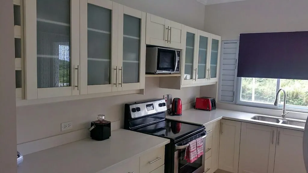 Fern Court Apartment At Richmond Jamaica